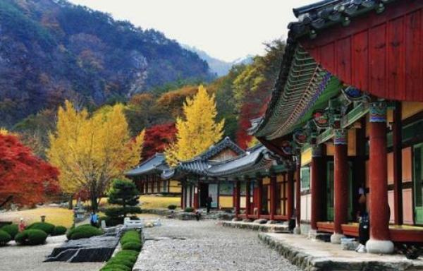 16 Ngôi Chùa có Phong Cảnh Đep Nhất ở Hàn Quốc | IBC TV Đài Truyền Hình