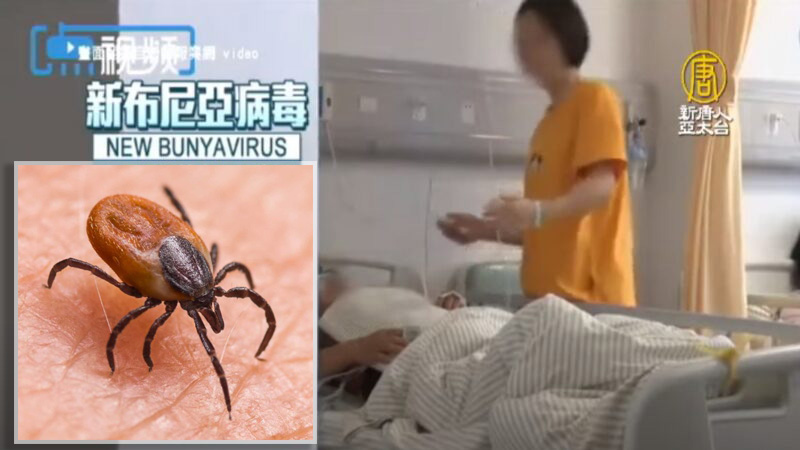 Trung Quốc bùng phát chủng virus mới (New Bunyavirus), hiện đã có ít nhất 60 người mắc bệnh và 7 người chết. (Ảnh: TH)