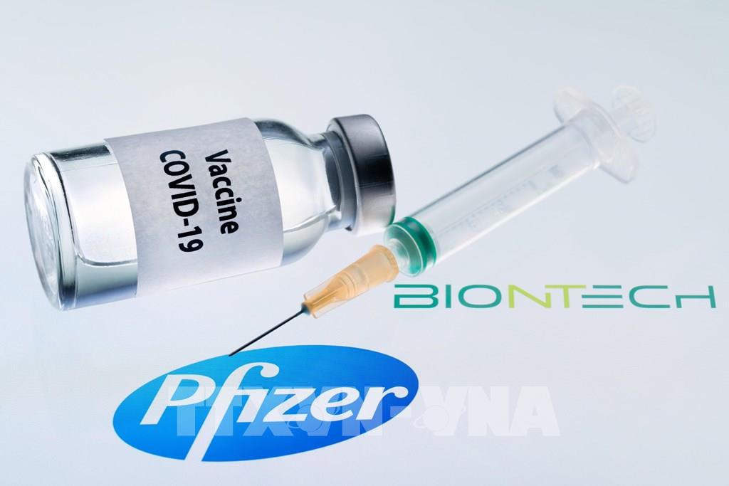 Hình ảnh minh họa vaccine ngừa COVID-19 do Công ty dược phẩm Pfizer và BioNTech phối hợp phát triển. Ảnh: AFP/TTXVN